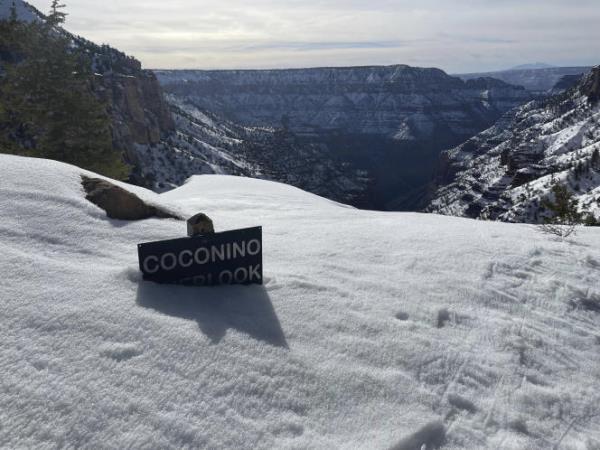 This image release by the Natio<em></em>nal Park Service shows the Coco<em></em>nino Overlook along the North Kaibab Trail covered in approximately 5-6 feet of snow at Grand Canyon Natio<em></em>nal Park in North Rim, Ariz., on March 7, 2023.