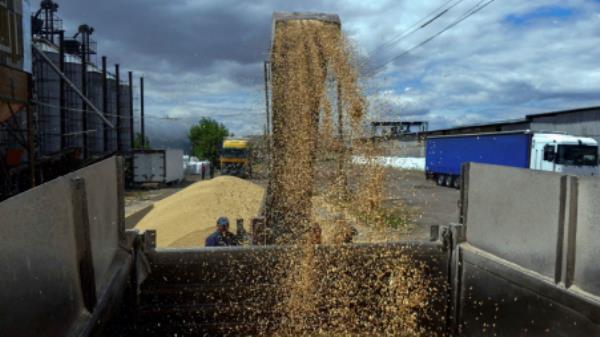 A worker loads a truck with grain at a terminal during barley harvesting in Odesa region, Ukraine June 23, 2022. REUTERS/Igor Tkachenko