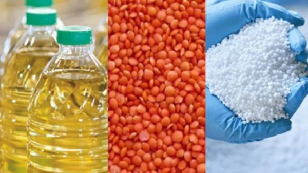 Purchase body approves im<em></em>port of fertiliser, lentil, edible oil