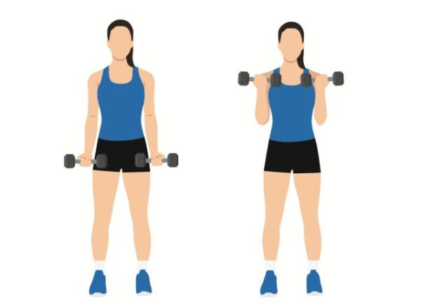 illustration, co<em></em>ncept of standing bicep curls with dumbbells to tone your arms in 30 days