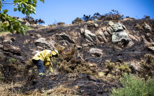 Port Hills Fire