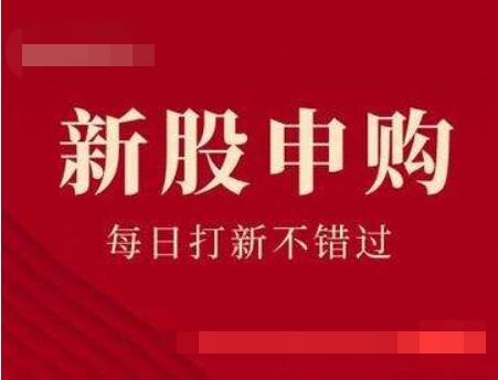 申购新股要求_现在申购新股需要什么条件_新股申购需要什么资格