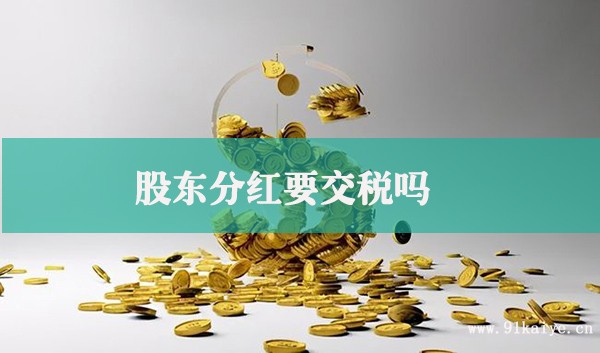 股票分红要扣多少个人所得税_分红股票收税_分红税扣股票得个人要缴税吗