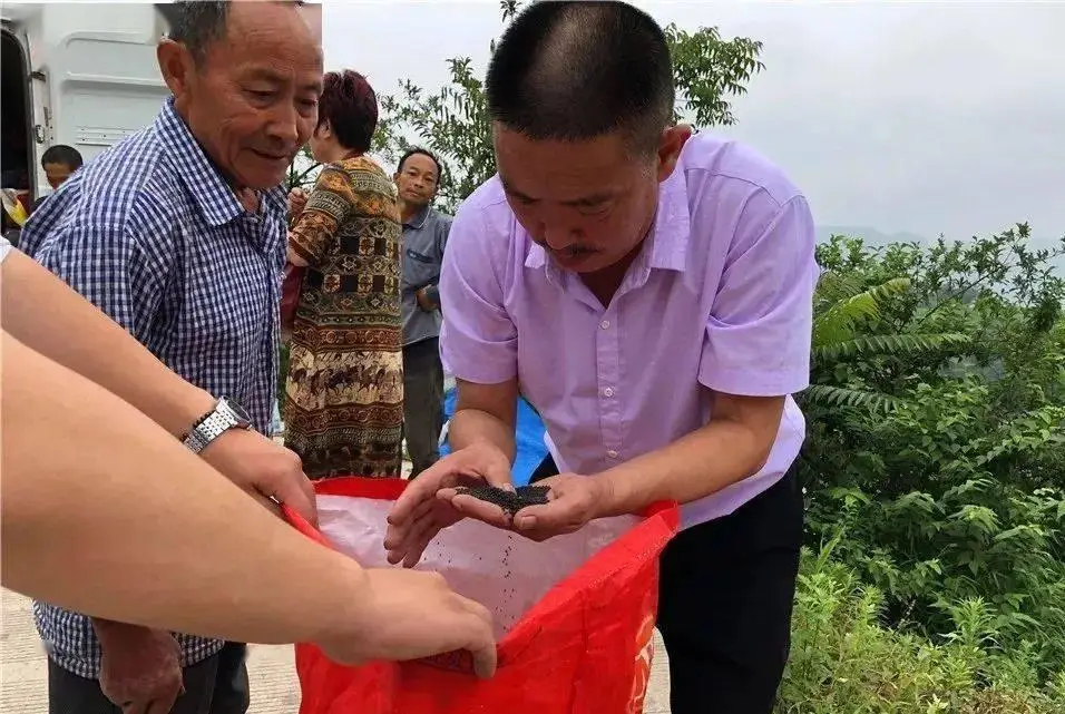 2020雨露计划资金发放时间_雨露计划资金申请报告_2024雨露计划资金到账