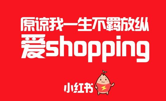 搜索引擎营销案例步骤效果_效果运营是做什么的_效果营销平台推广联盟