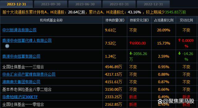 重仓股票基金_基金重仓股2021_2024基金前十大重仓股